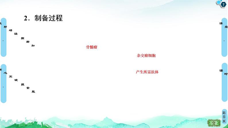 高中生物选择性必修三 第2章 第2节 第2课时 动物细胞融合技术与单克隆抗体 课件第7页