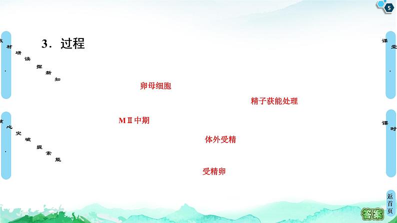 高中生物选择性必修三 第2章 第3节 第2课时 胚胎工程技术及其应用 课件05