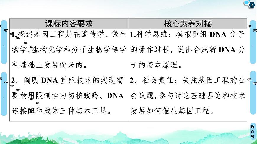 高中生物選擇性必修三  第3章 第1節(jié) 重組DNA技術(shù)的基本工具 課件第2頁