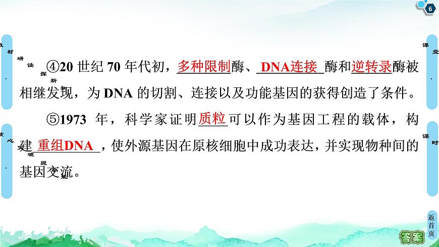 高中生物選擇性必修三  第3章 第1節(jié) 重組DNA技術(shù)的基本工具 課件第6頁