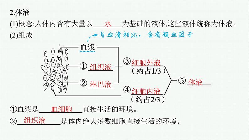 人教版高中生物选择性必修一细胞生活的环境课件第6页