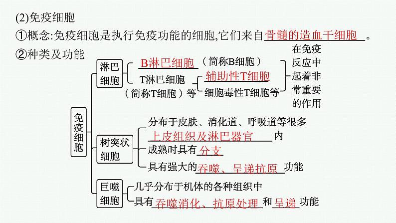 人教版高中生物选择性必修一免疫系统的组成和功能课件第7页