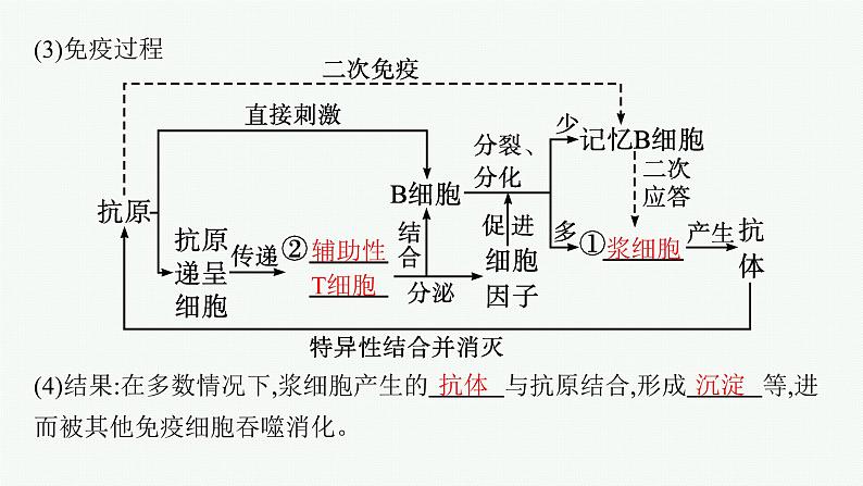 人教版高中生物选择性必修一特异性免疫课件第8页