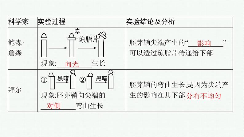 人教版高中生物选择性必修一植物生长素课件第6页
