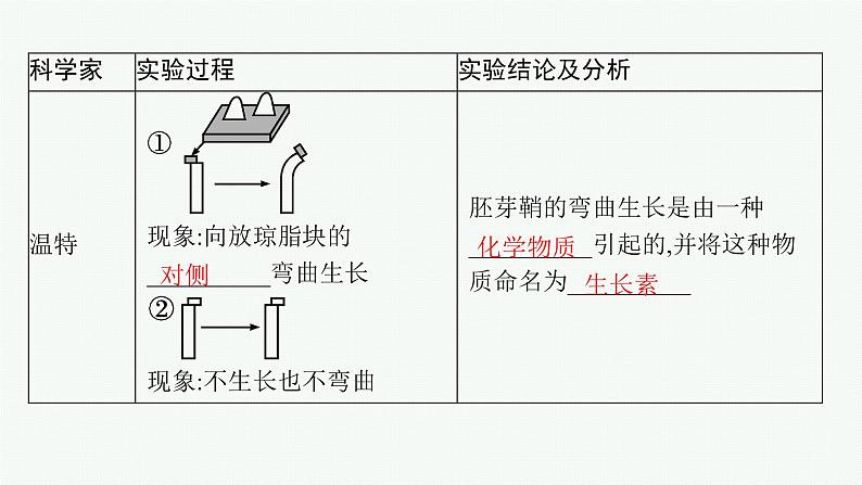 人教版高中生物选择性必修一植物生长素课件第7页