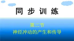 浙科版(2019)高中生物选择性必修1神经冲动的产生和传导课件