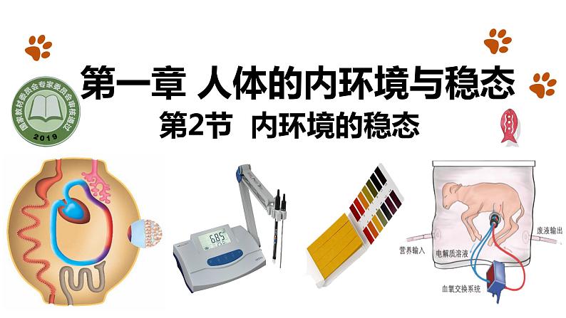 2023届高三一轮复习生物:1.2内环境的稳态课件第1页