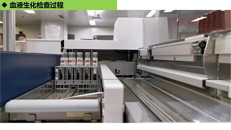 2023届高三一轮复习生物:1.2内环境的稳态课件第3页