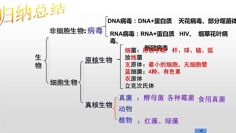 2023届高三一轮复习生物:必修一《走近细胞与组成细胞的分子》复习课件07