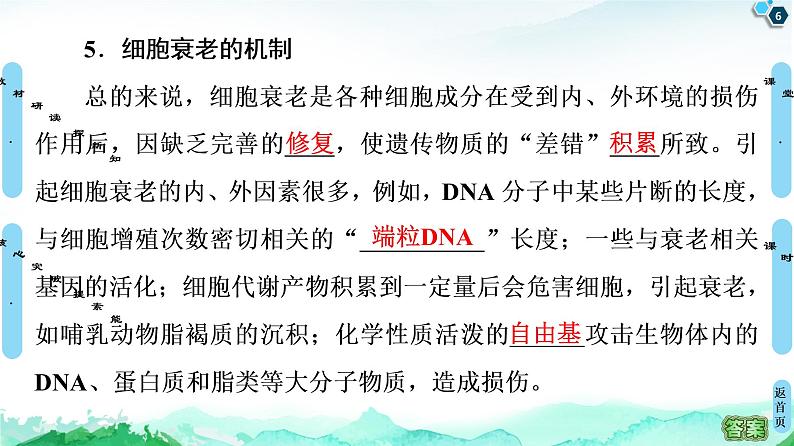 高中生物新浙科版必修1 第4章 第3节 细胞凋亡是编程性死亡 课件(53张)06