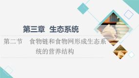高中生物第二节  食物链和食物网形成生态系统的营养结构图文课件ppt