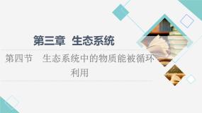 浙科版 (2019)选择性必修2 生物与环境第四节  生态系统中的物质能被循环利用教课ppt课件