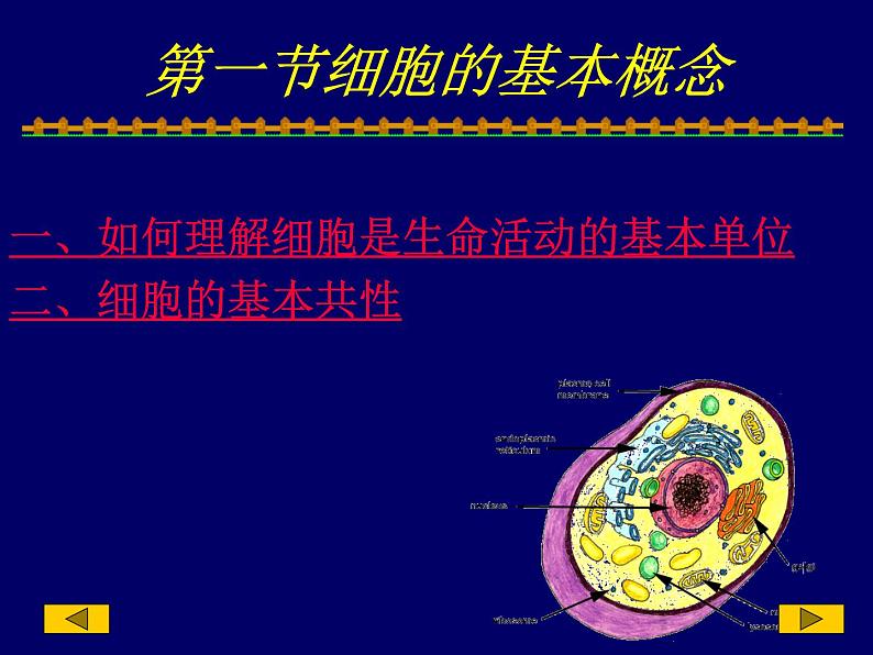 2023届高三一轮复习生物:人教版高中生物:细胞的多样性和统一性 (22)课件第3页