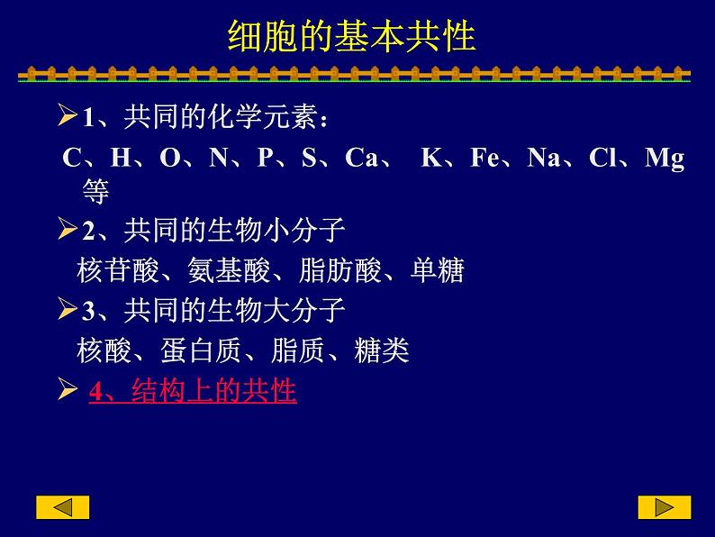 2023届高三一轮复习生物:人教版高中生物:细胞的多样性和统一性 (22)课件第5页