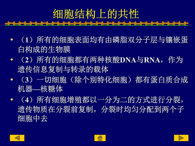 2023届高三一轮复习生物:人教版高中生物:细胞的多样性和统一性 (22)课件第6页