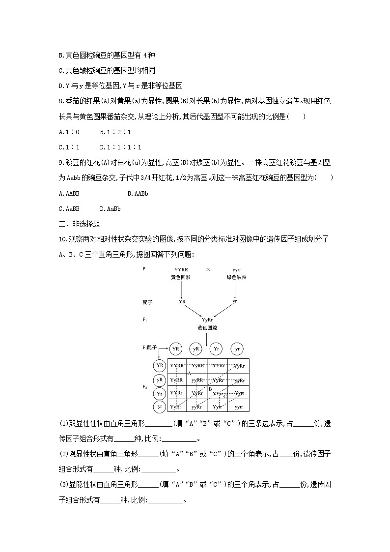 新教材高中生物暑假作业第2天孟德尔的豌豆杂交实验二含解析02