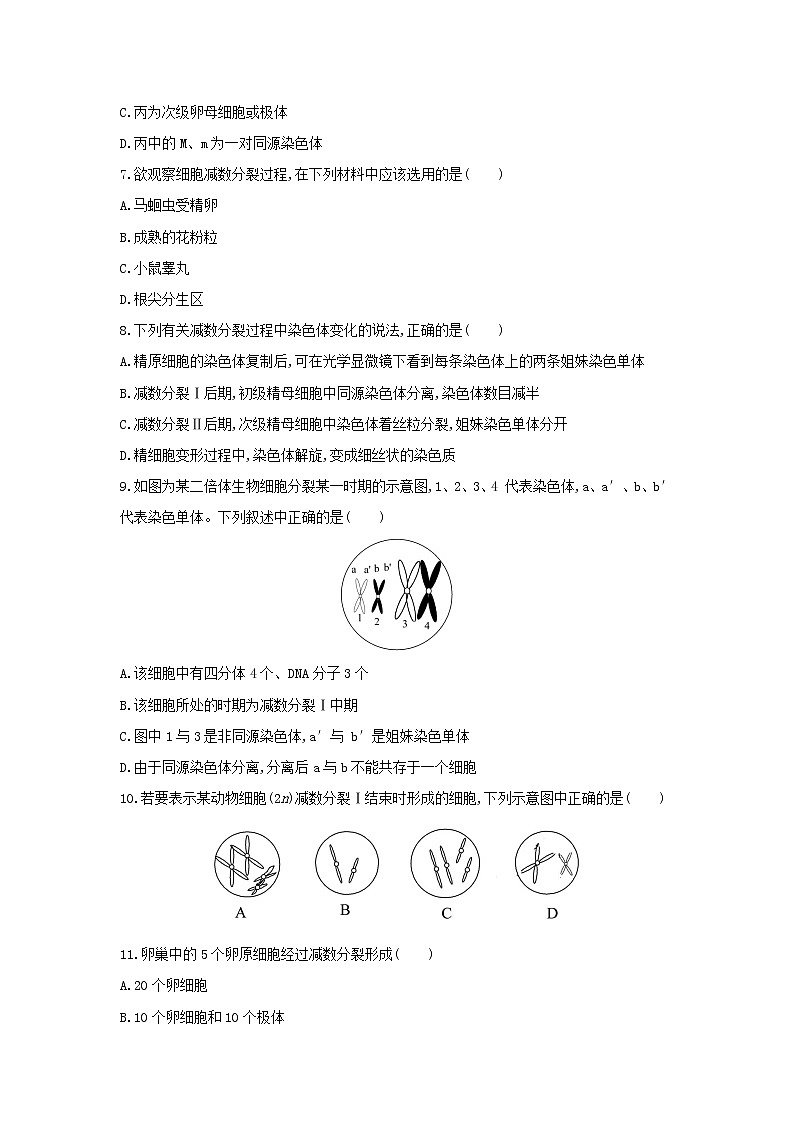 新教材高中生物暑假作业第3天减数分裂和受精作用含解析第2页