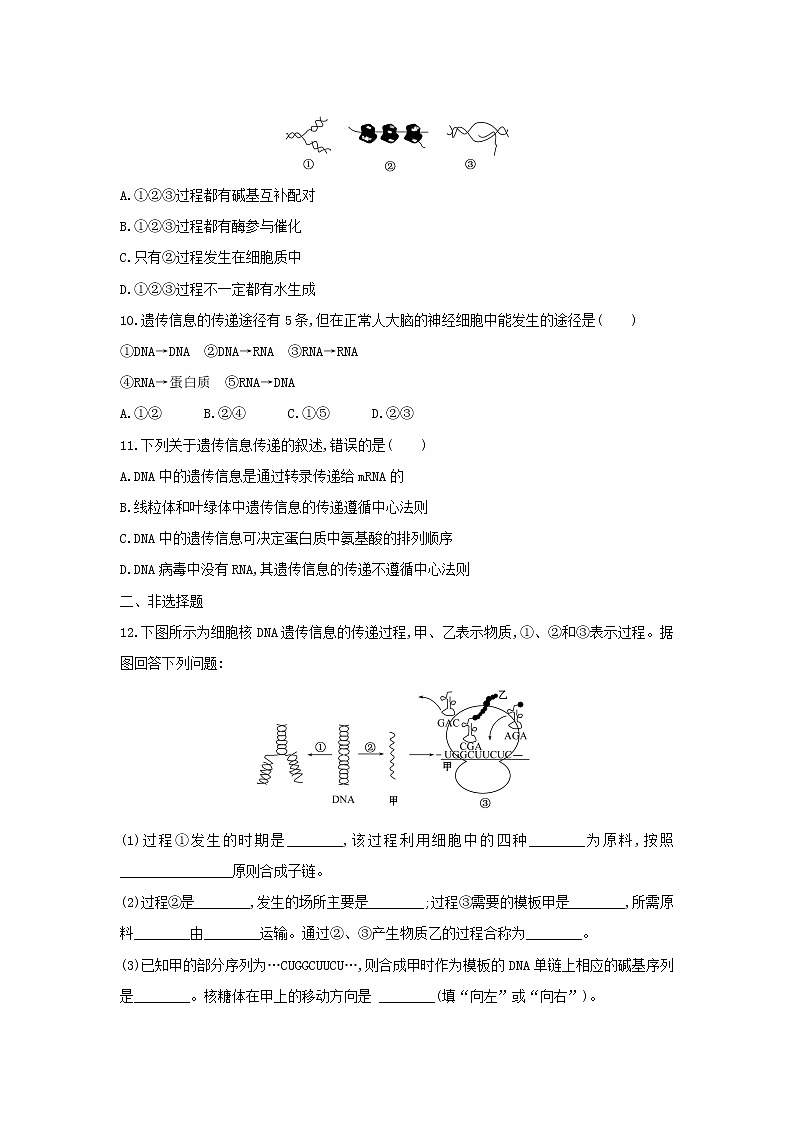 新教材高中生物暑假作业第11天基因指导蛋白质的合成含解析03