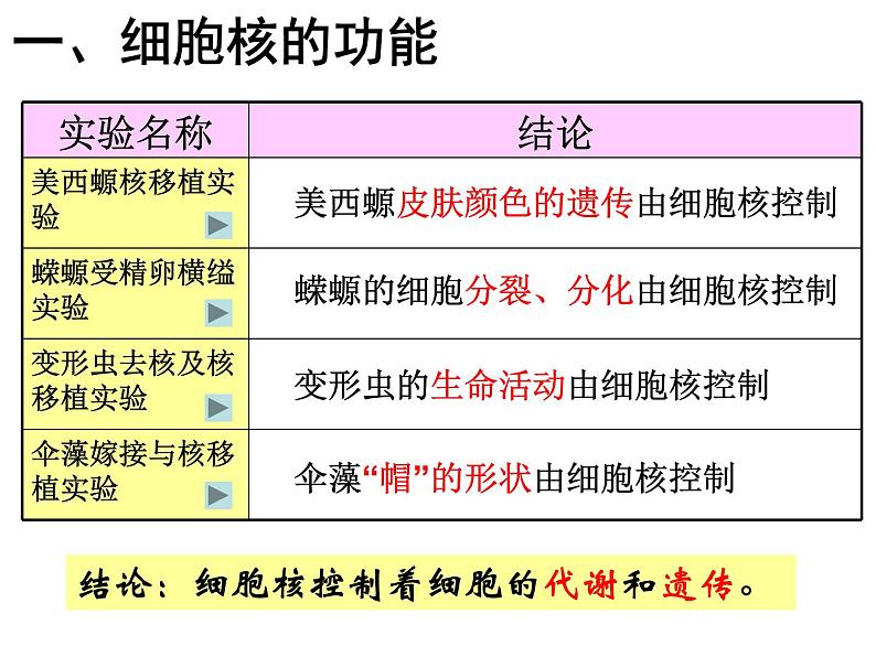 高中生物必修一 第3章《本章综合与测试》优质教学课件第3页