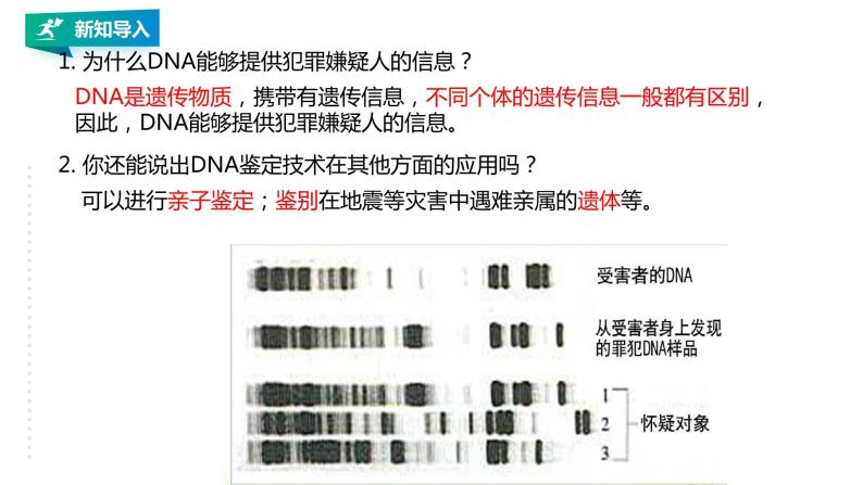 高中生物必修一 2.5 核酸是遗传信息的携带者教学课件02
