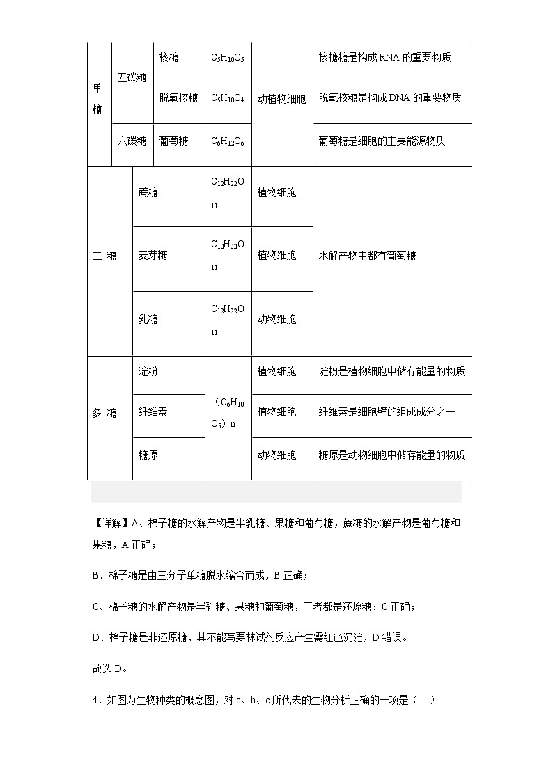 2022-2023學(xué)年福建省莆田市四中2022-2023學(xué)年高一上學(xué)期第一次月考生物試題含解析第3頁