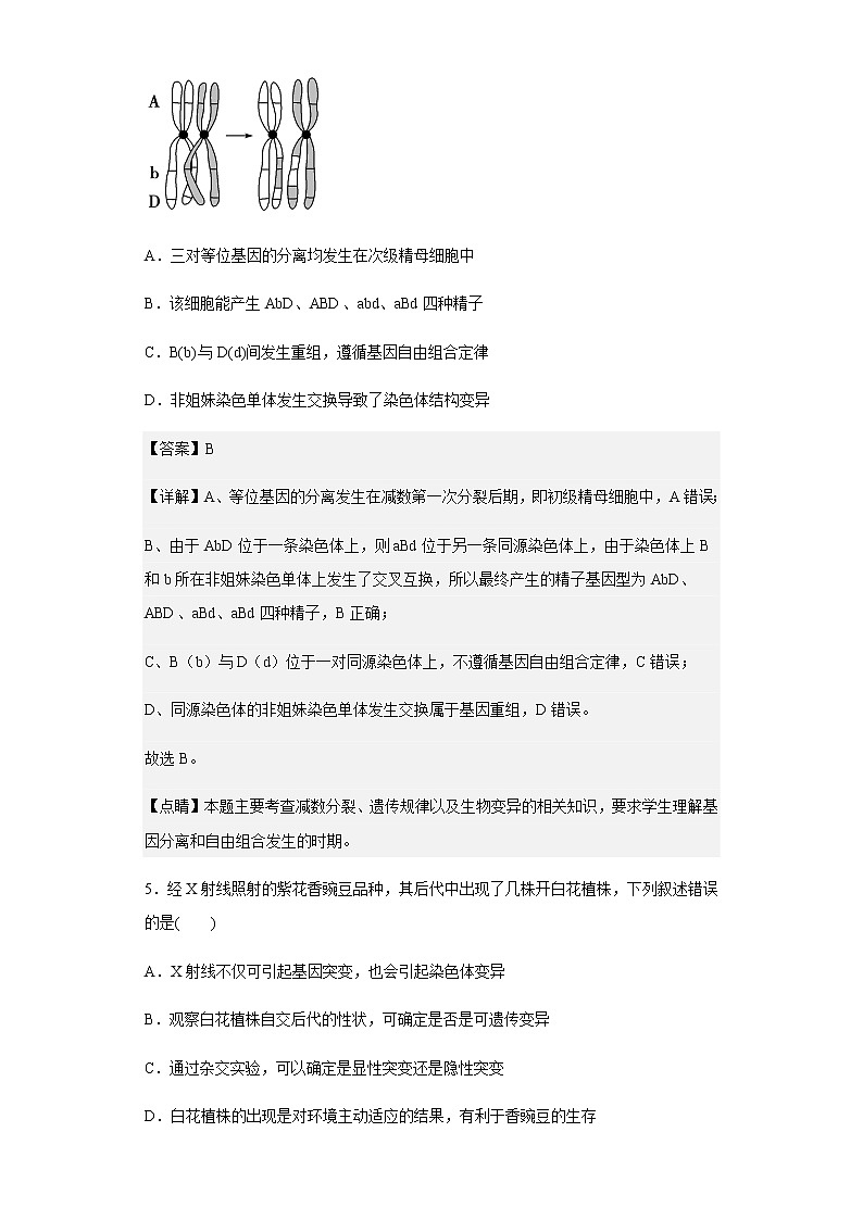 2020-2021学年福建省厦门市一中高二上学期期中生物试题含解析第3页