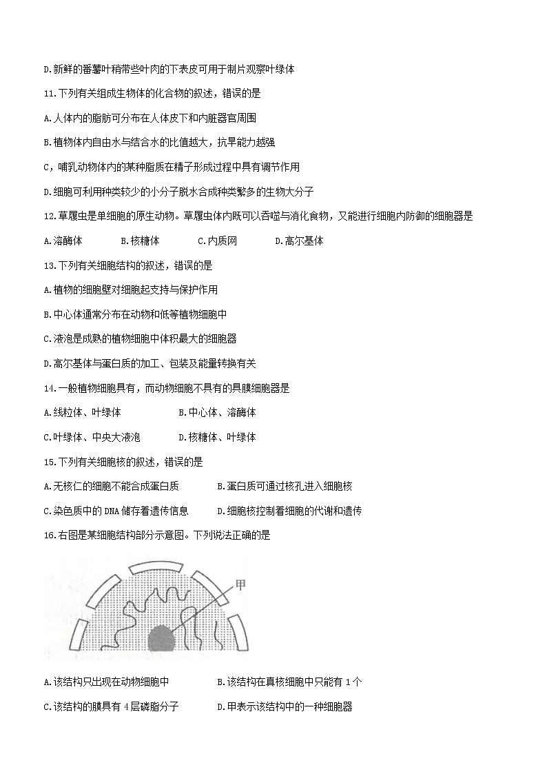 贵州省2022-2023学年高一上学期期中联合考试生物试题(含答案)03