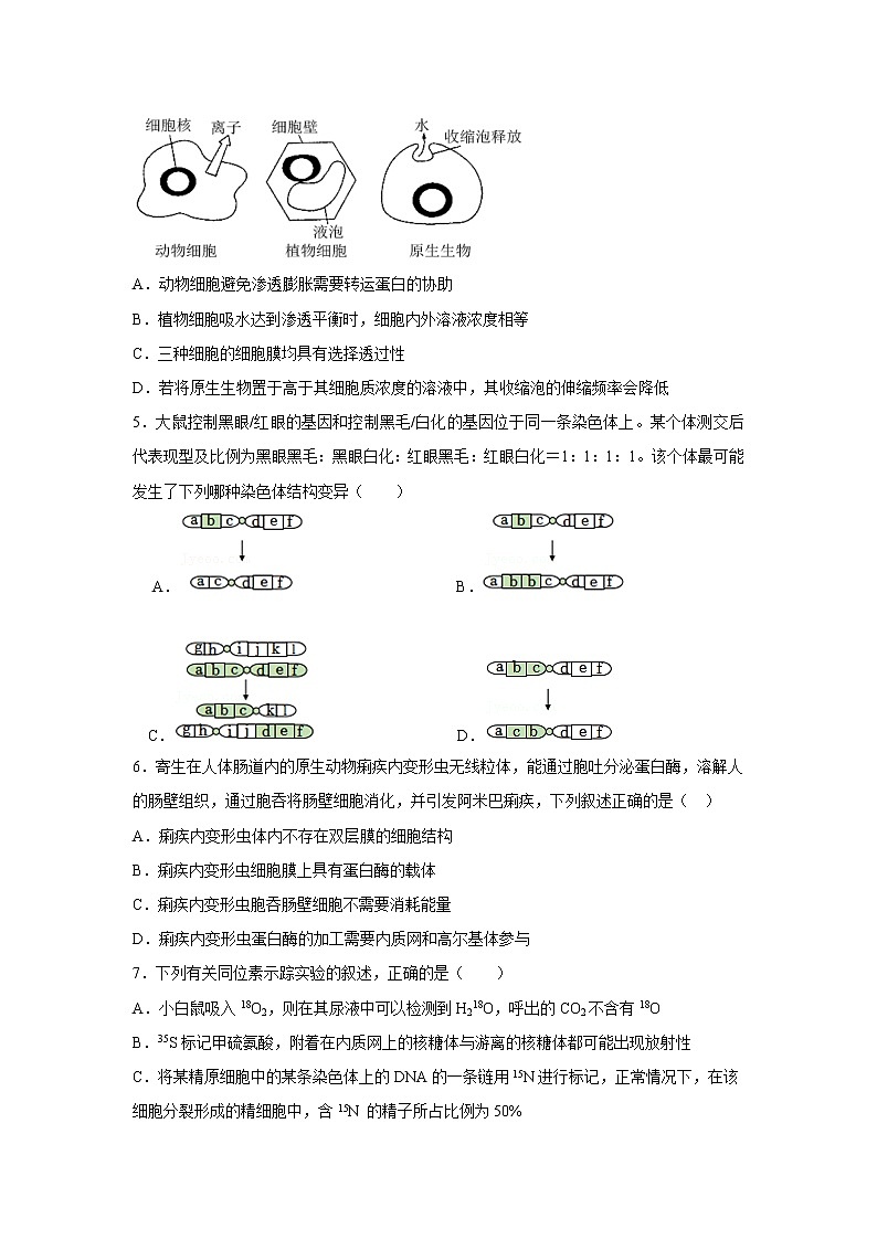辽宁省六校2022-2023学年高三上学期期中联考生物试卷(含答案)02