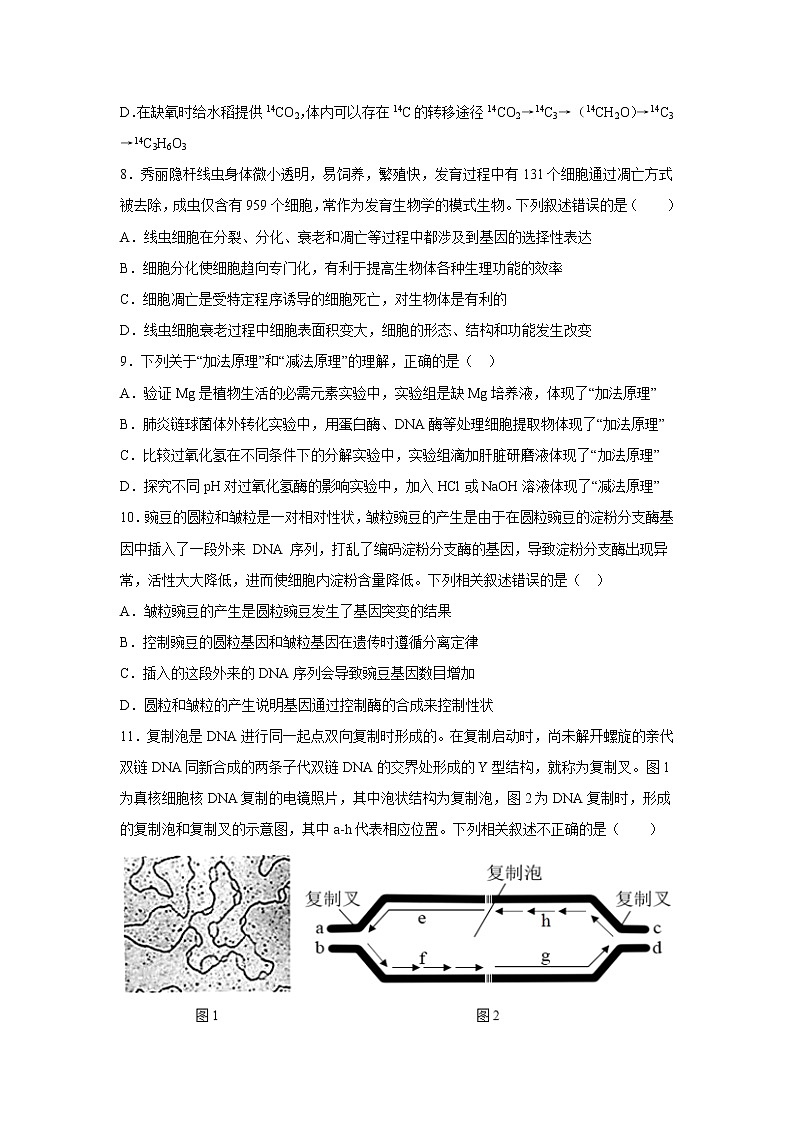 辽宁省六校2022-2023学年高三上学期期中联考生物试卷(含答案)03