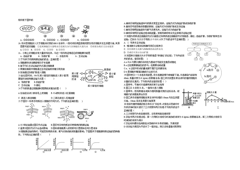 安徽省六安市舒城晓天中学2022-2023学年高一上学期期中考试生物试题第2页