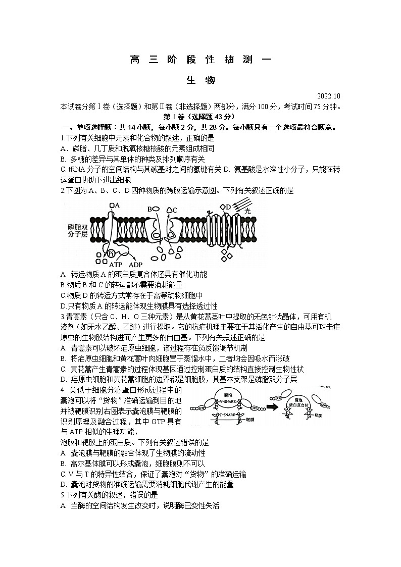 江苏省常熟市2023届高三生物上学期10月阶段性抽测一试题(Word版附答案)第1页