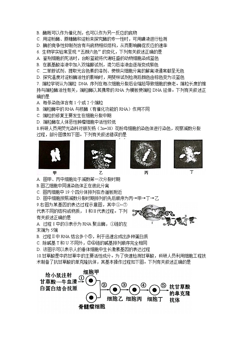 江苏省常熟市2023届高三生物上学期10月阶段性抽测一试题(Word版附答案)第2页