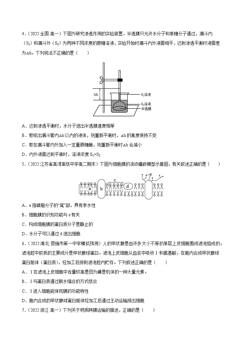 【备战2023高考】生物总复习——专题07《细胞的物质输入和输出》练习(新教材新高考)02