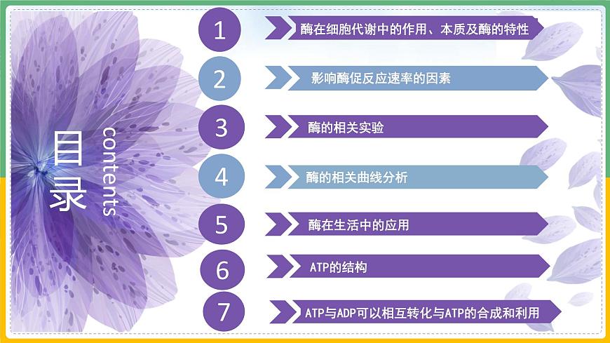 【備戰(zhàn)2023高考】生物總復(fù)習(xí)——專題08《酶和ATP》課件(新教材新高考)第3頁(yè)