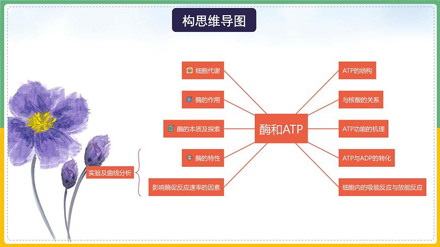 【備戰(zhàn)2023高考】生物總復(fù)習(xí)——專題08《酶和ATP》課件(新教材新高考)第6頁(yè)
