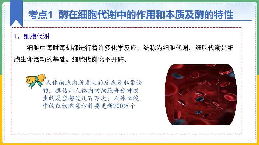 【備戰(zhàn)2023高考】生物總復(fù)習(xí)——專題08《酶和ATP》課件(新教材新高考)第8頁(yè)