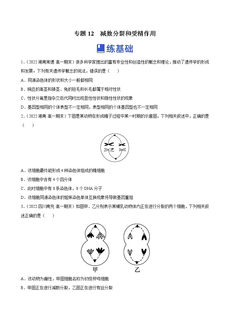 【备战2023高考】生物总复习——专题12《减数分裂和受精作用》练习(新教材新高考)01