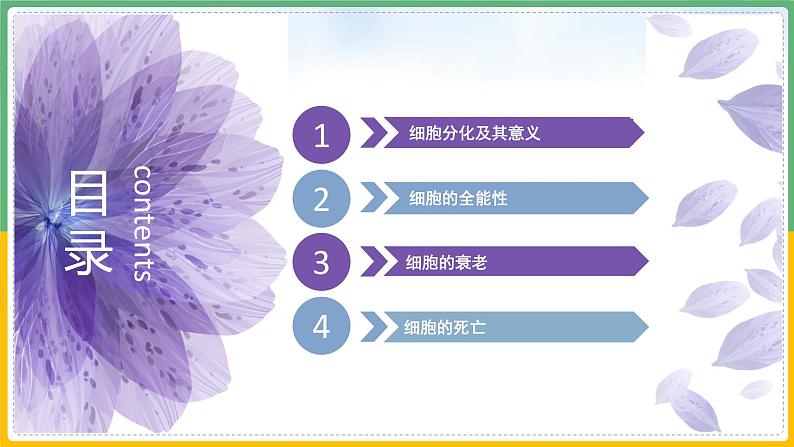 【备战2023高考】生物总复习——专题13《细胞的分化、衰老和死亡》课件(新教材新高考)03