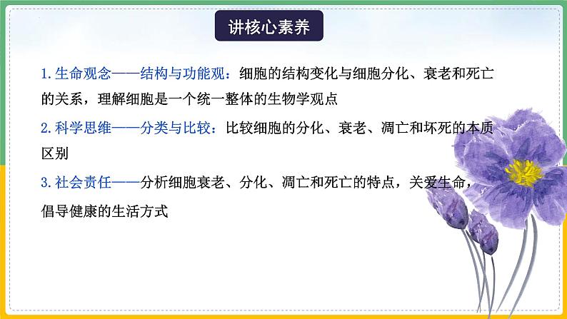 【备战2023高考】生物总复习——专题13《细胞的分化、衰老和死亡》课件(新教材新高考)05
