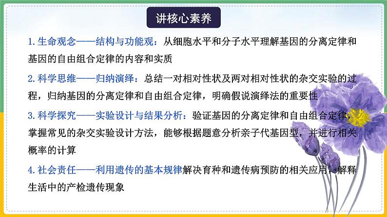 【备战2023高考】生物总复习——专题14《遗传基础知识》课件(新教材新高考)05