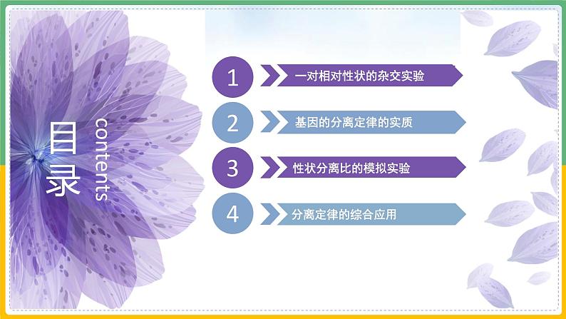 【备战2023高考】生物总复习——专题15《基因的分离定律》课件(新教材新高考)第3页
