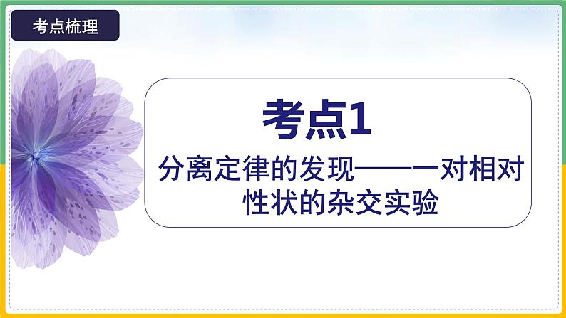 【备战2023高考】生物总复习——专题15《基因的分离定律》课件(新教材新高考)第7页