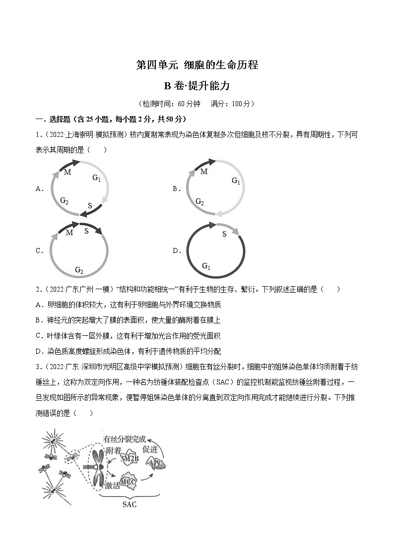 【备战2023高考】生物总复习——第四单元《细胞的生命历程》检测卷(B卷·提升能力)(原卷版)第1页