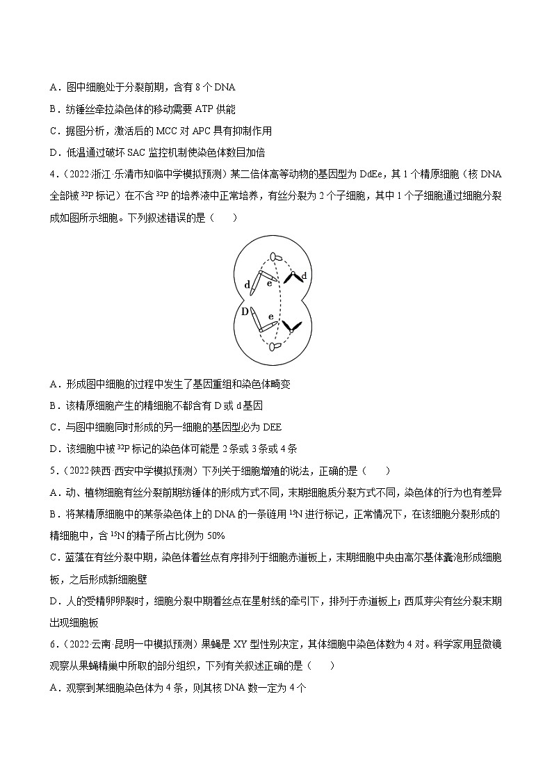 【备战2023高考】生物总复习——第四单元《细胞的生命历程》检测卷(B卷·提升能力)(原卷版)第2页