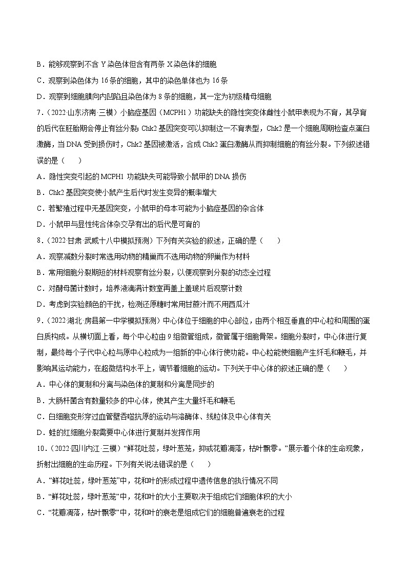 【备战2023高考】生物总复习——第四单元《细胞的生命历程》检测卷(B卷·提升能力)(原卷版)第3页