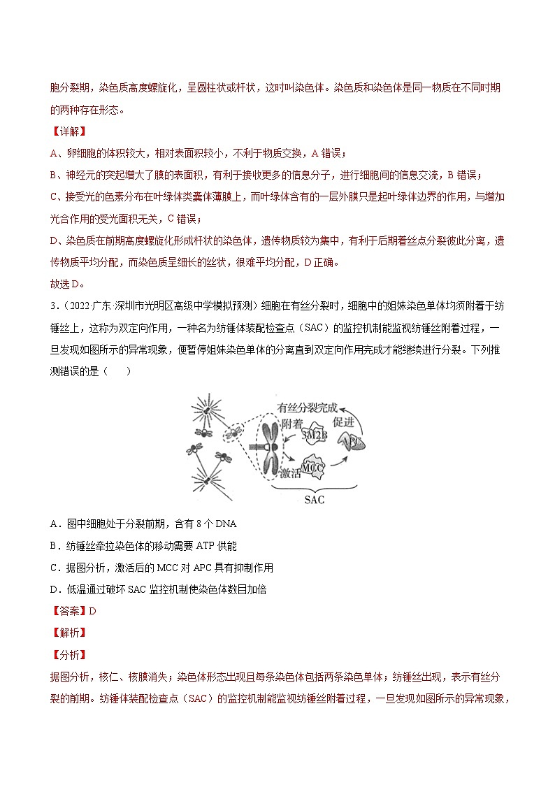 【备战2023高考】生物总复习——第四单元《细胞的生命历程》检测卷(B卷·提升能力)(解析版)第2页