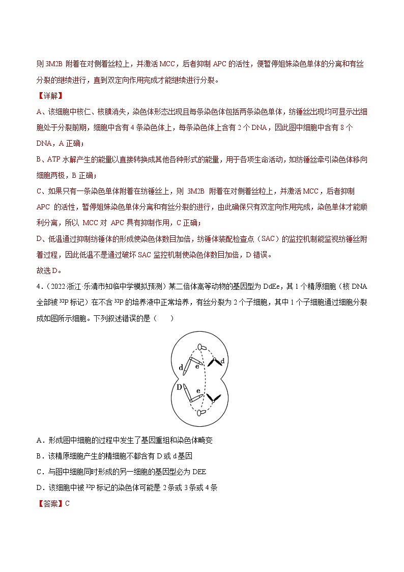 【备战2023高考】生物总复习——第四单元《细胞的生命历程》检测卷(B卷·提升能力)(解析版)第3页