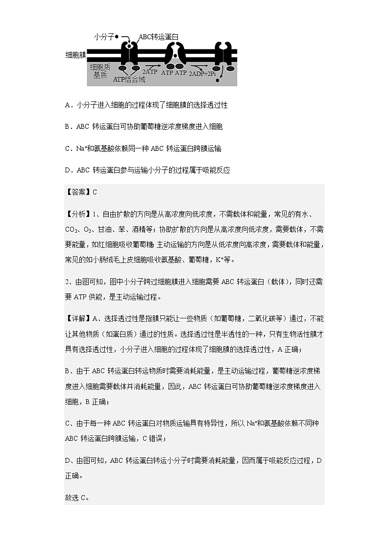 2022-2023学年江苏省无锡市南菁高级中学高三10月月考生物试题含解析第2页