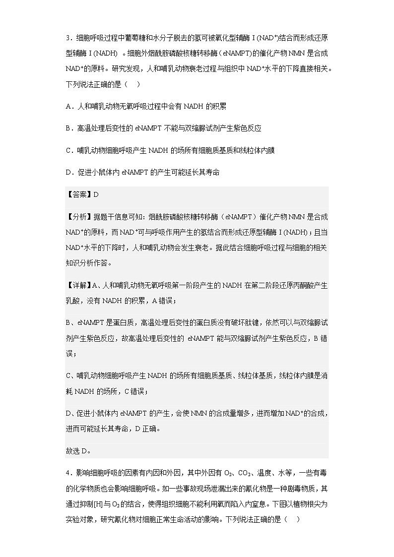 2022-2023学年江苏省无锡市南菁高级中学高三10月月考生物试题含解析第3页