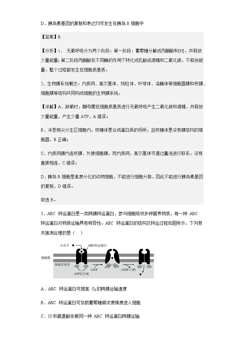 2022-2023学年江苏省扬州中学高三10月月考生物试题含解析第2页